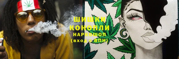 альфа пвп Медногорск