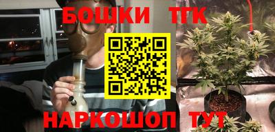 крисы Коммунар